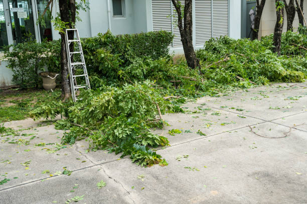 Estelle, LA Tree Services Company